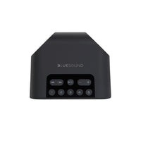 Bluesound PULSE FLEX 2i Wireless Streaming Speaker top